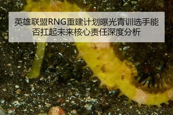 ying-xiong-lian-meng-chong-jian-ji-hua-bao-guang-qing-xun-xuan-shou-neng-fou-kang-qi-wei-lai-he-xin-ze-ren-shen-du-fen-2-435.jpg